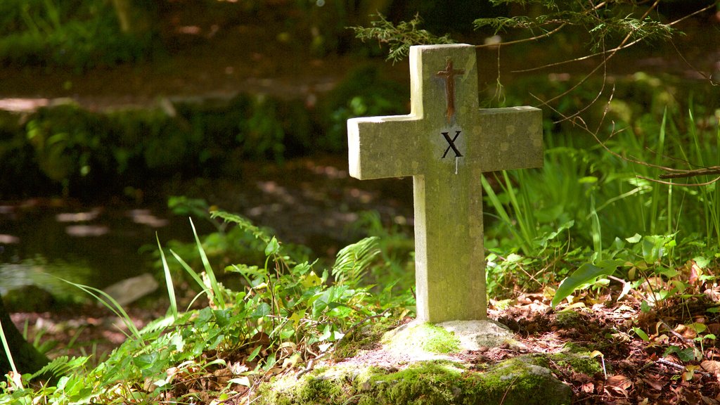 Tobernalt Holy Well showing a cemetery, heritage elements and religious elements