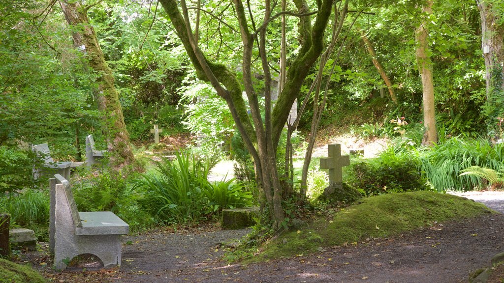 Tobernalt Holy Well mostrando elementos religiosos, un cementerio y jardín