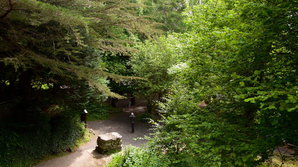 Tobernalt Holy Well featuring religious elements, heritage elements and a park