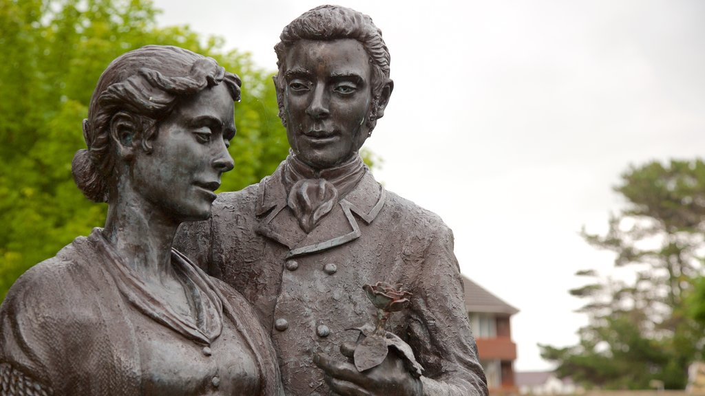 Tralee Town Park showing a statue or sculpture and a park