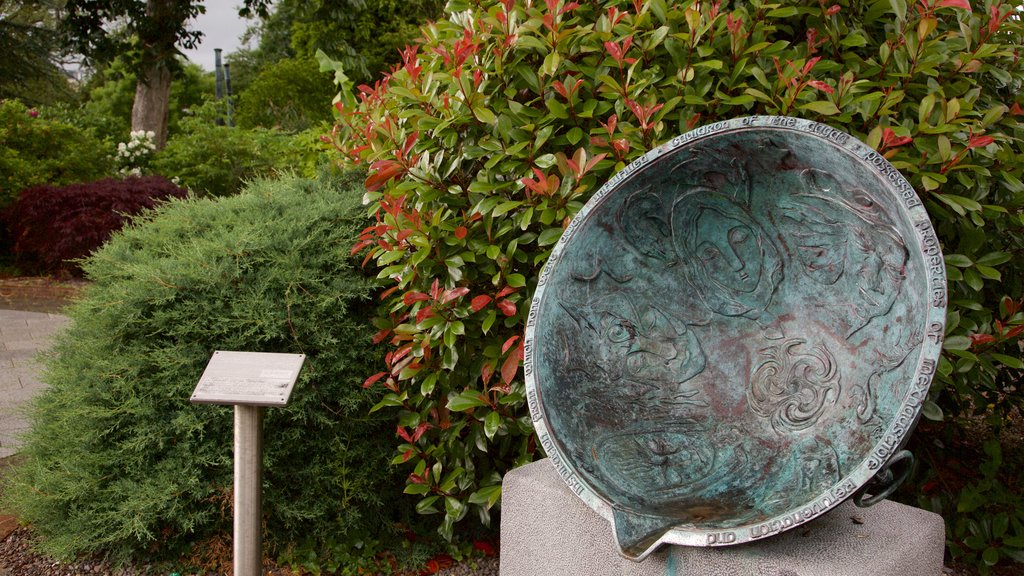 Tralee Town Park que inclui um parque, uma estátua ou escultura e flores