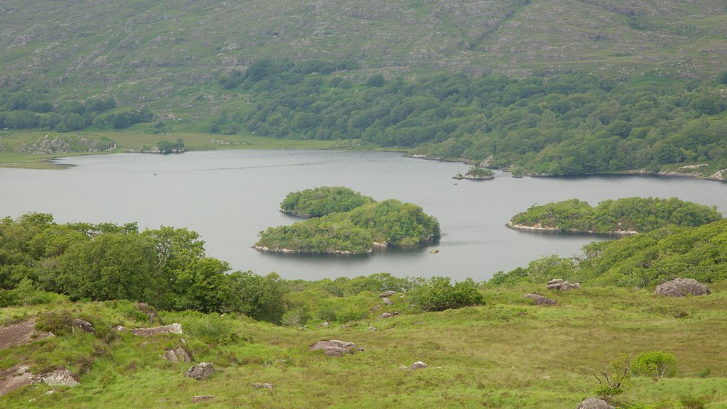 Ladies View showing a lake or waterhole and tranquil scenes