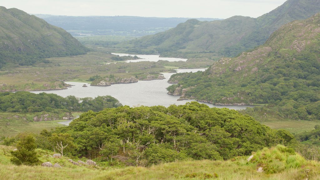 レディース ビュー どの含み 自然の風景, 静かな風景 と 湖あるいは泉