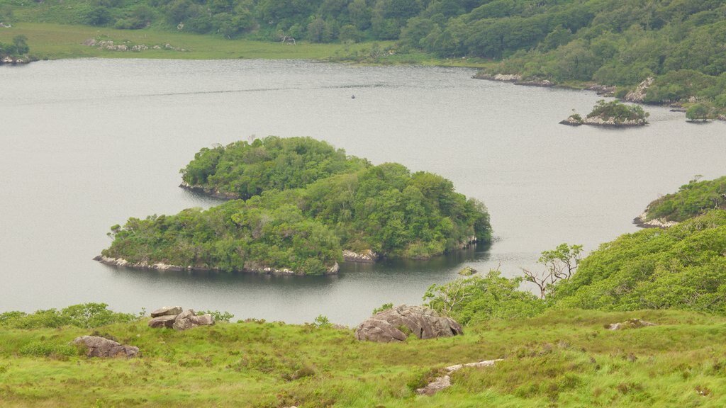 Ladies View which includes tranquil scenes and a lake or waterhole