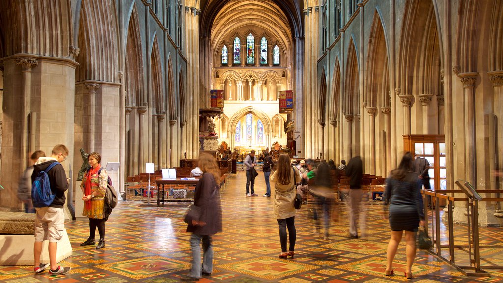 St. Patrick\'s Cathedral som viser historisk arkitektur, kirke eller katedral og innendørs