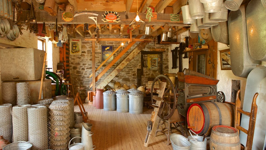 St Fagans showing interior views, shopping and heritage elements