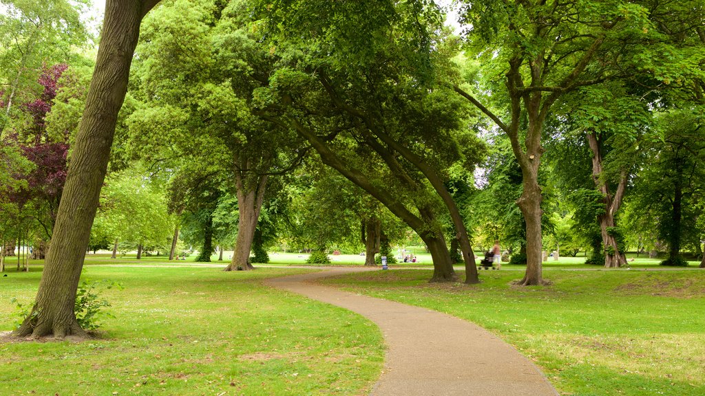 Bute Park showing a garden and a pond