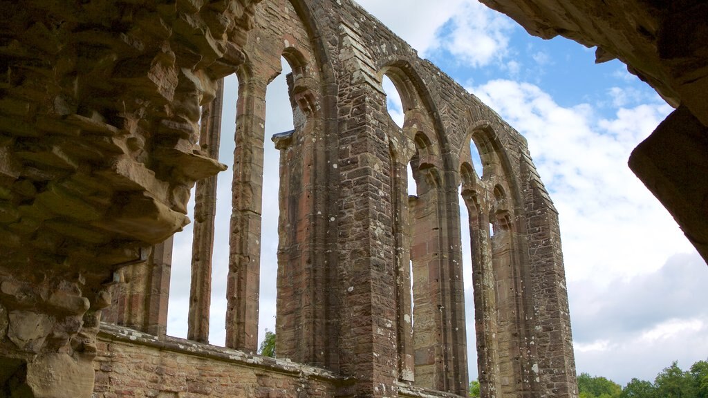 Tintern Abbey showing heritage elements, a ruin and heritage architecture