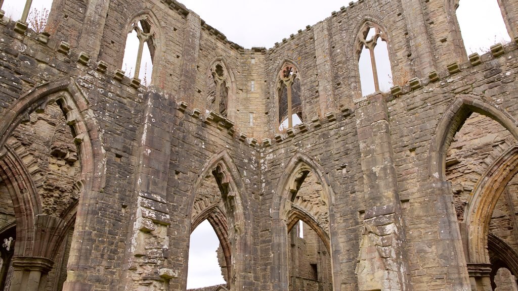 Tintern Abbey mostrando elementos patrimoniales, arquitectura patrimonial y una ruina