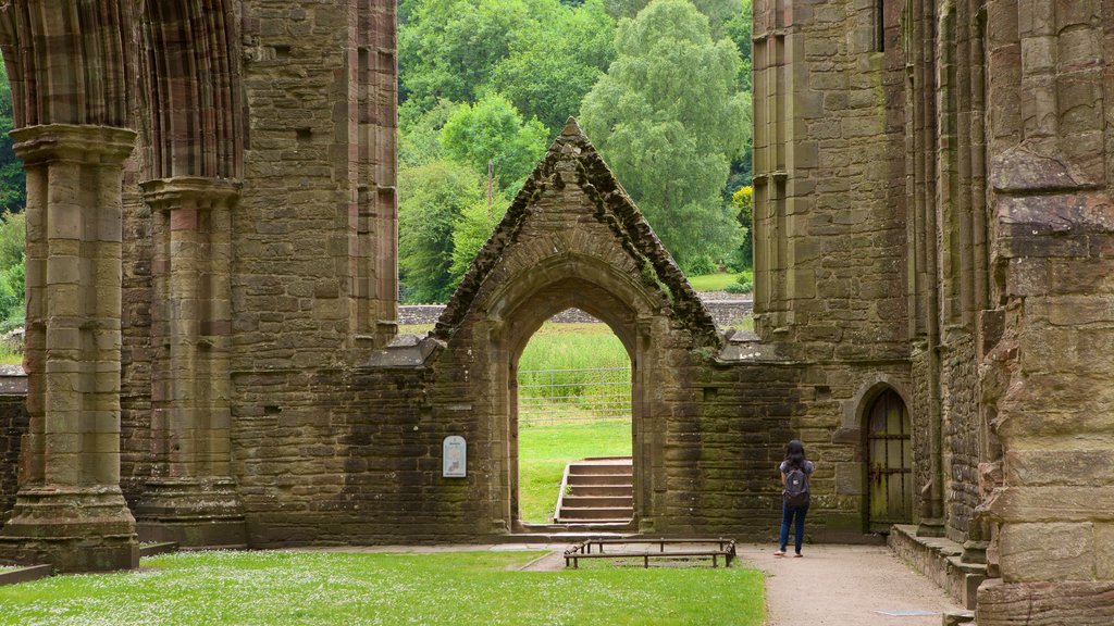 Tintern Abbey ofreciendo elementos patrimoniales, arquitectura patrimonial y una ruina