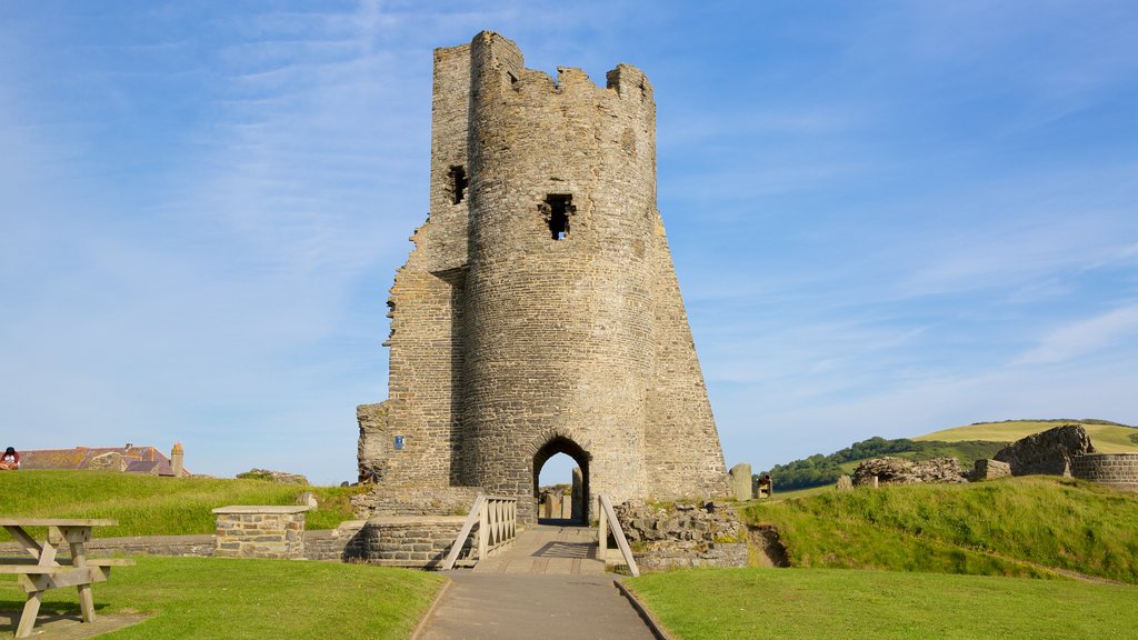 Aberystwyth Castle som omfatter bygningsruiner, slot eller palads og en bro