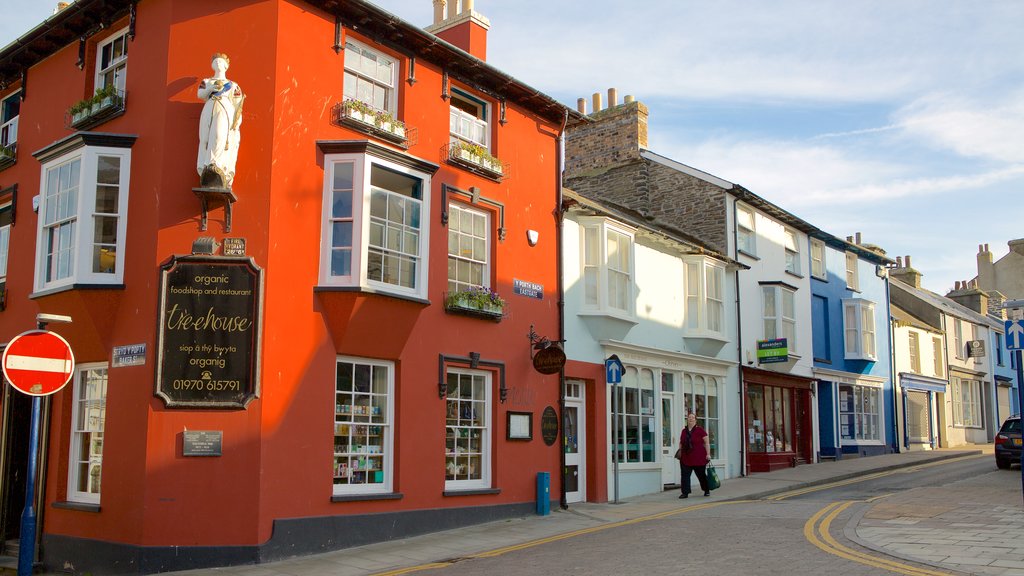 Aberystwyth mostrando uma cidade e cenas de rua assim como uma mulher sozinha