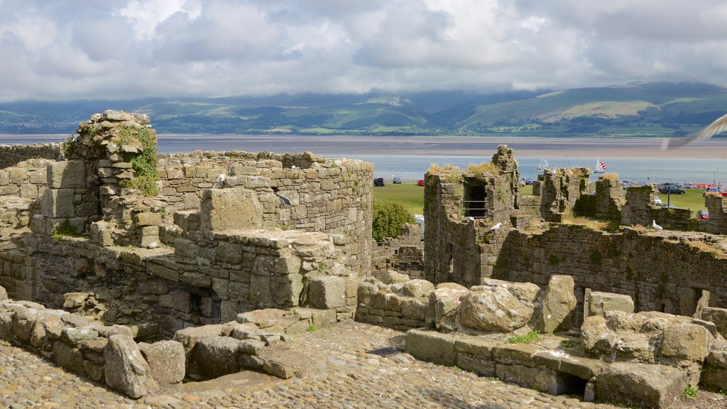 Castillo de Beaumaris que incluye elementos patrimoniales, una ruina y castillo o palacio