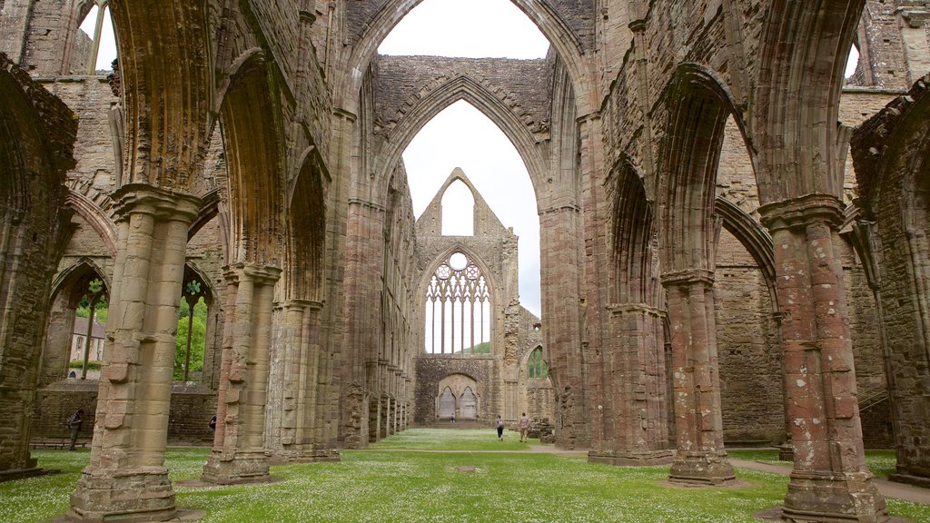 Tintern Abbey que incluye elementos patrimoniales, arquitectura patrimonial y castillo o palacio