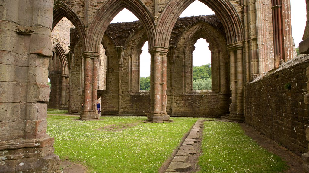 Tintern Abbey ofreciendo arquitectura patrimonial, un castillo y elementos patrimoniales