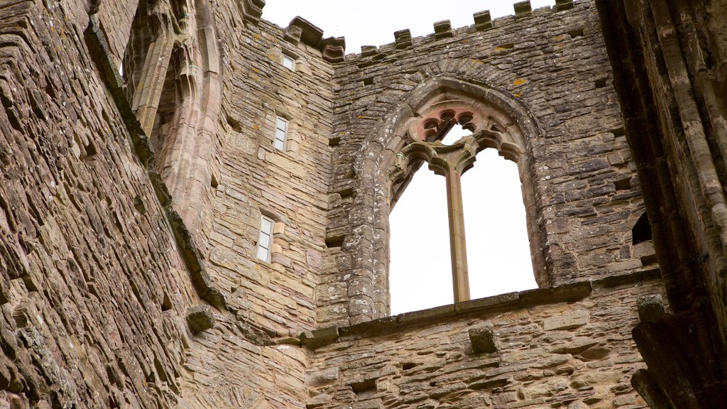 Tintern Abbey mostrando um pequeno castelo ou palácio, elementos de patrimônio e arquitetura de patrimônio