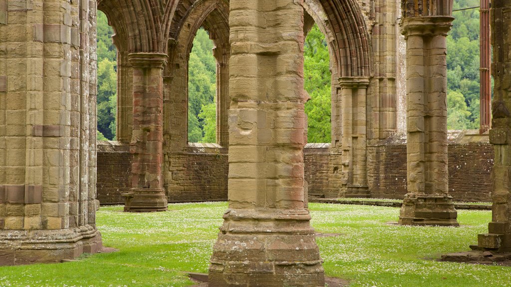 Tintern Abbey que inclui arquitetura de patrimônio, um pequeno castelo ou palácio e elementos de patrimônio