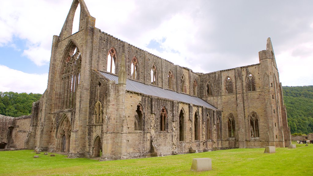 Tintern Abbey showing heritage elements, a church or cathedral and a castle