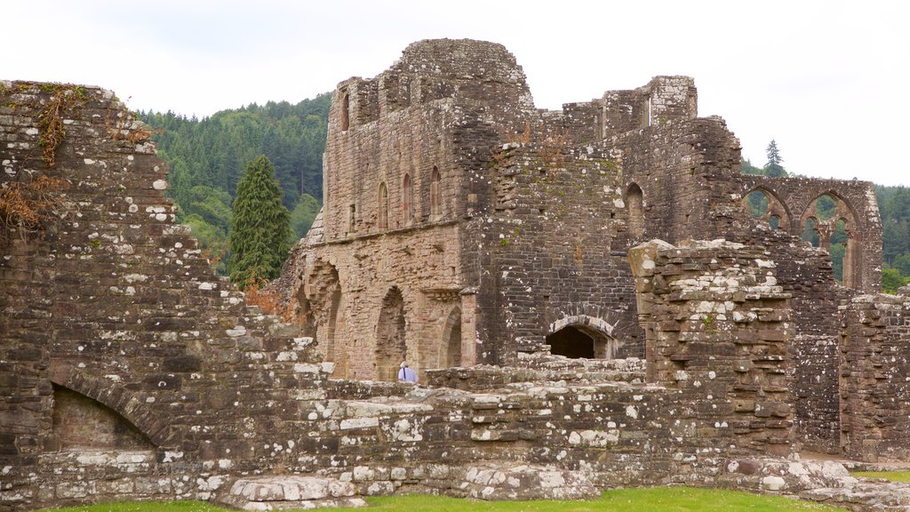 Tintern Abbey showing building ruins, heritage architecture and heritage elements