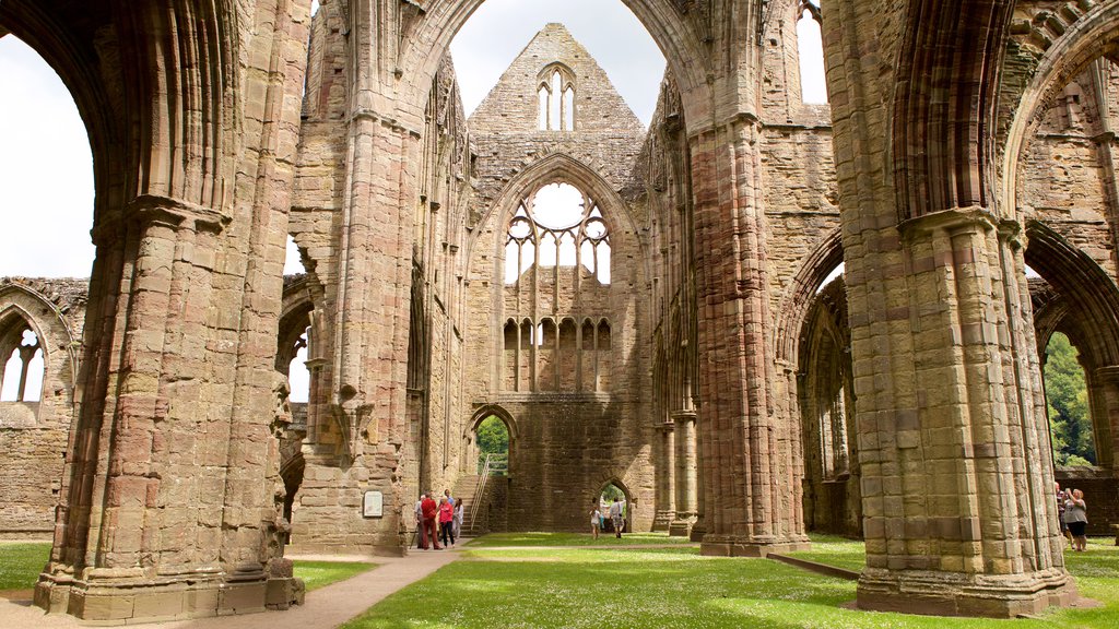 Tintern Abbey que incluye elementos religiosos, castillo o palacio y arquitectura patrimonial