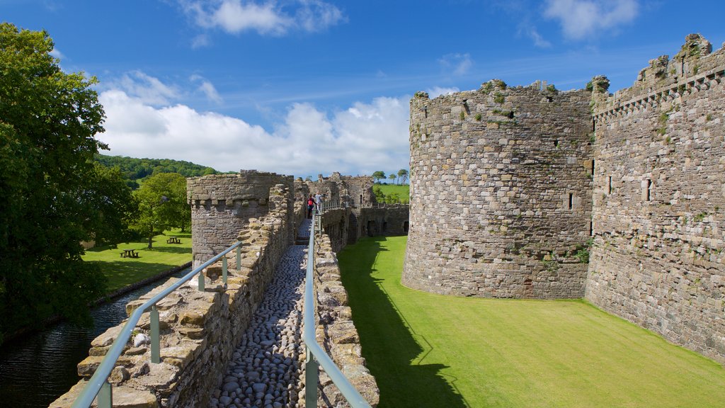 Beaumaris Castle showing château or palace, heritage elements and heritage architecture