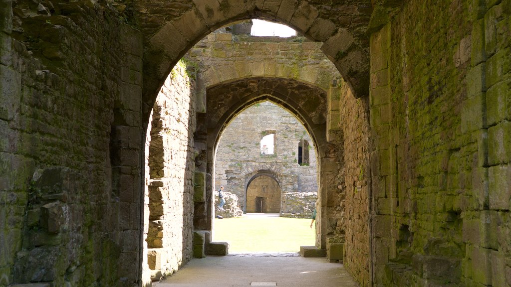 Beaumaris Castle featuring heritage elements, heritage architecture and château or palace