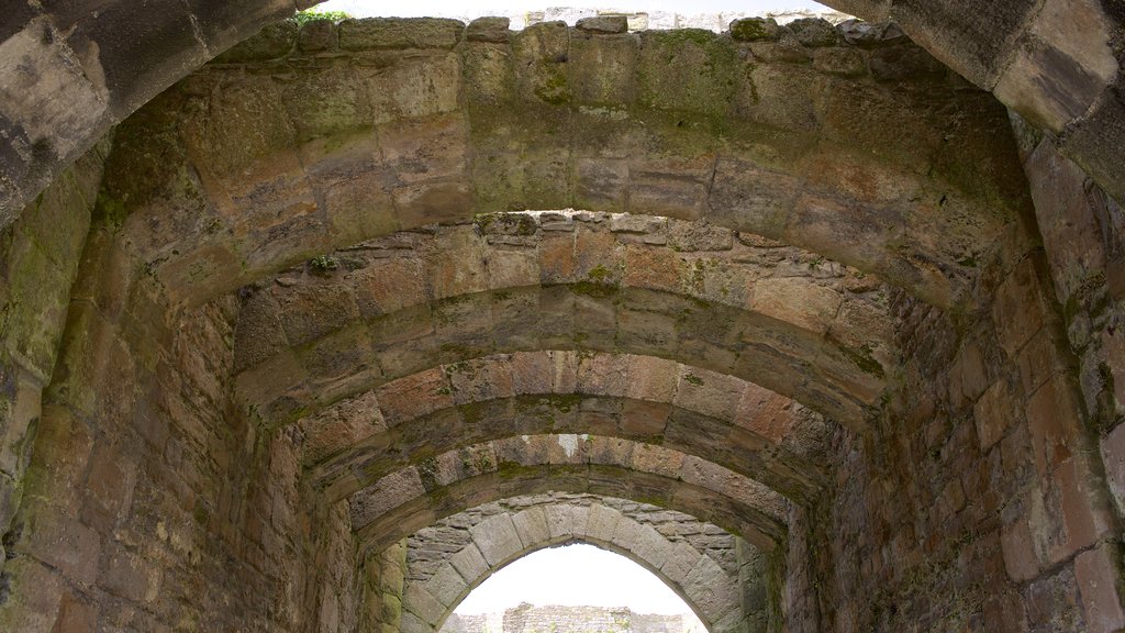 Castelo de Beaumaris mostrando elementos de patrimônio, arquitetura de patrimônio e um castelo