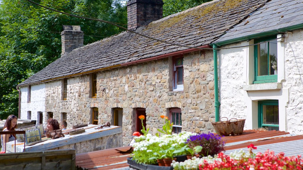 St Fagans which includes flowers