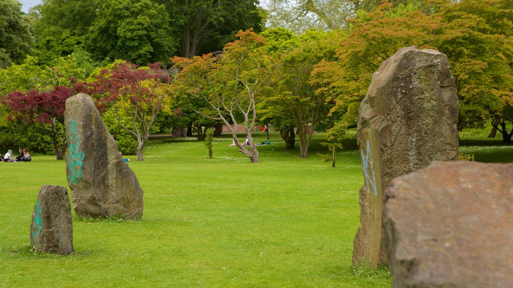 Bute Park which includes a garden