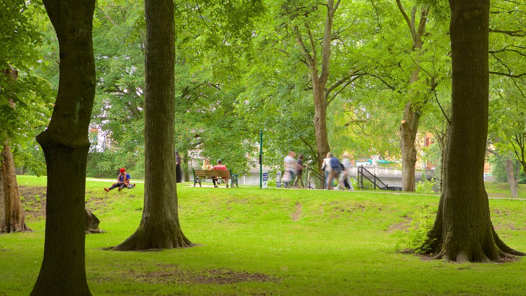 Bute Park que inclui um parque assim como um pequeno grupo de pessoas