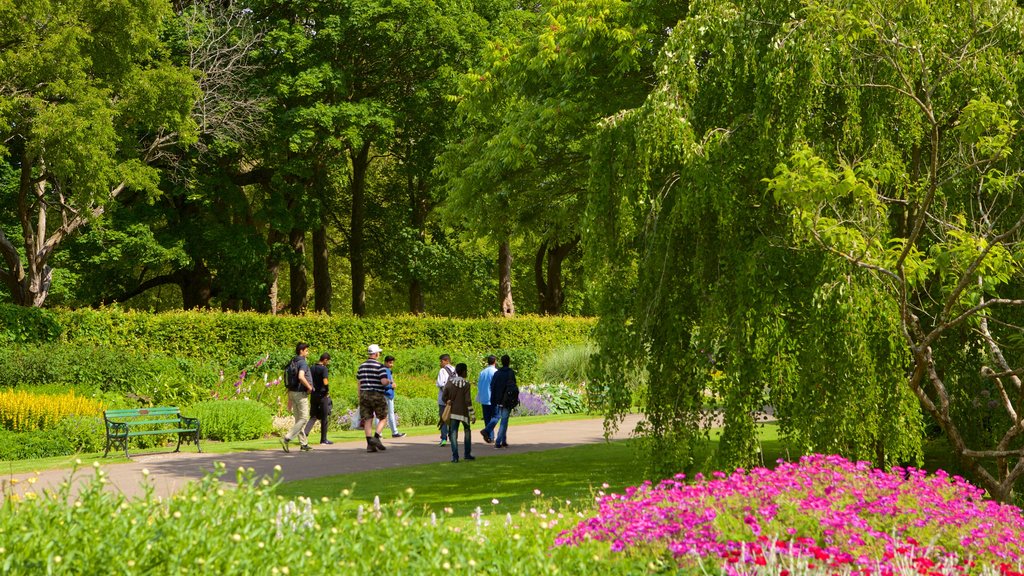 Bute Park ofreciendo un jardín y flores y también un pequeño grupo de personas