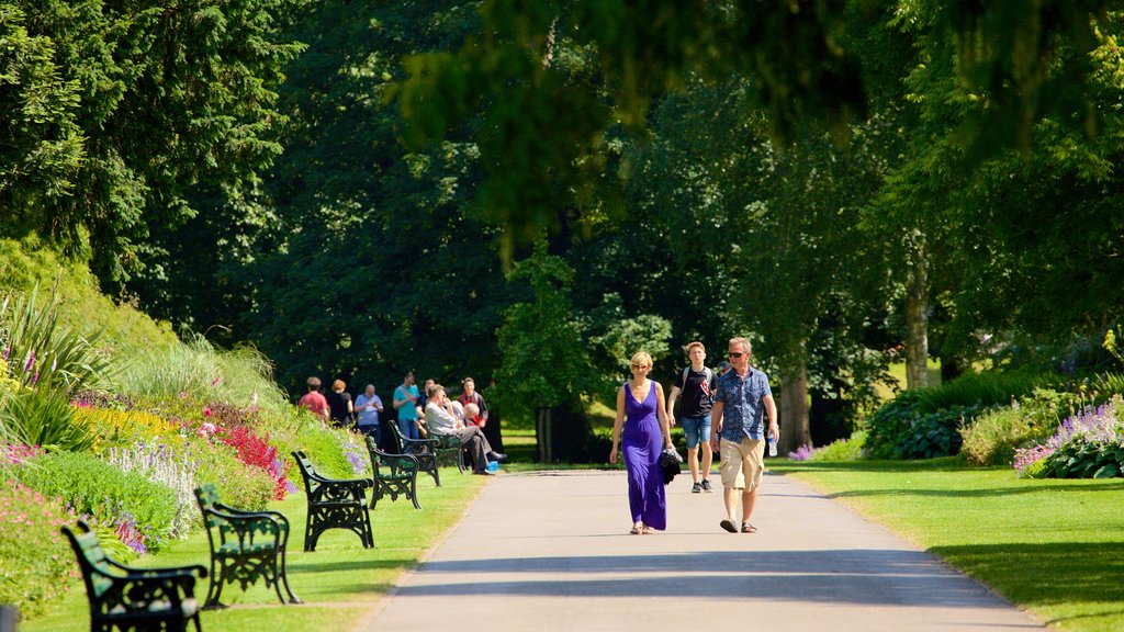 Bute Park que inclui um parque assim como um pequeno grupo de pessoas