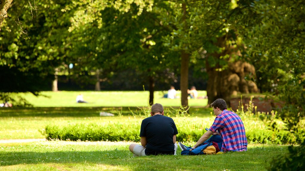 Bute Park showing a park as well as a couple