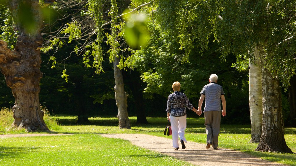 Bute Park que incluye un parque y también una pareja