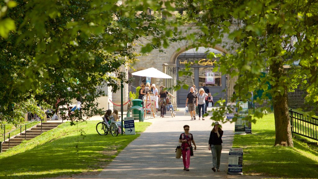 Bute Park which includes a garden as well as a small group of people