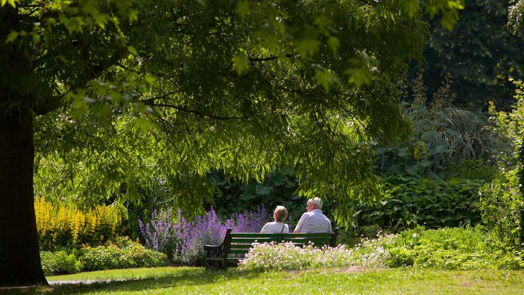 Bute Park ofreciendo jardín y también una pareja