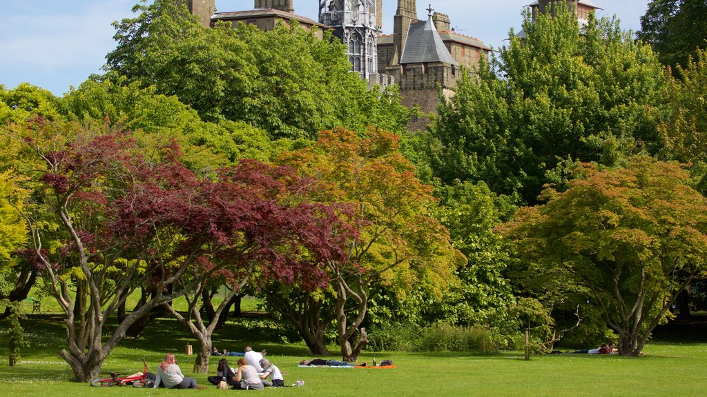 Bute Park caracterizando um jardim assim como um pequeno grupo de pessoas