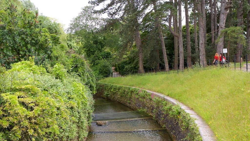 Roath Park which includes a river or creek and a park