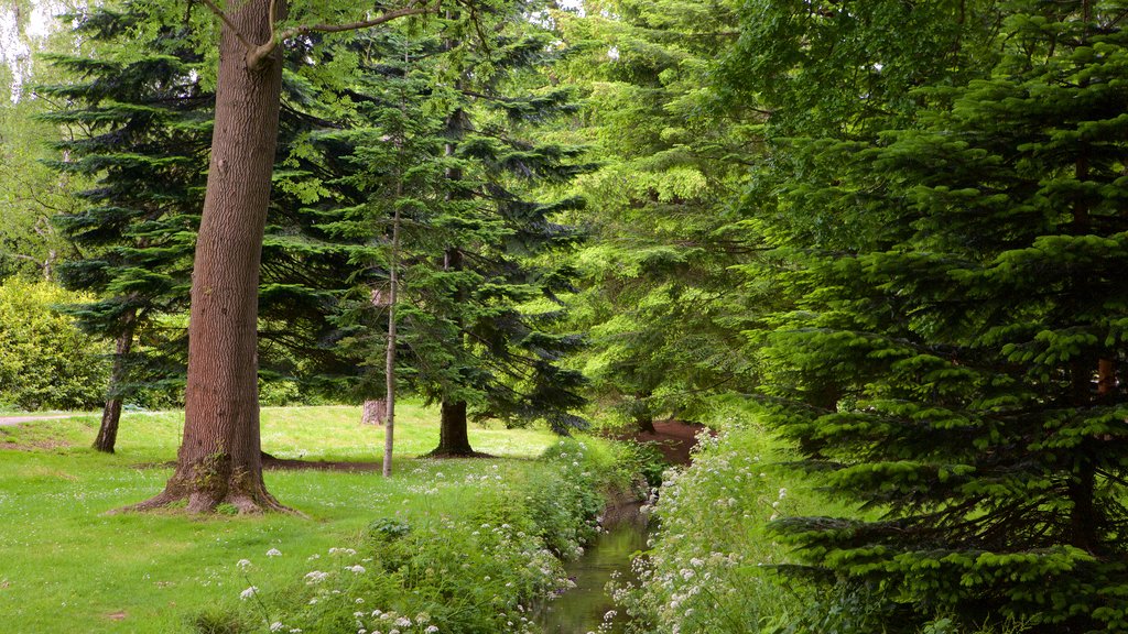 Roath Park mostrando um jardim e um rio ou córrego