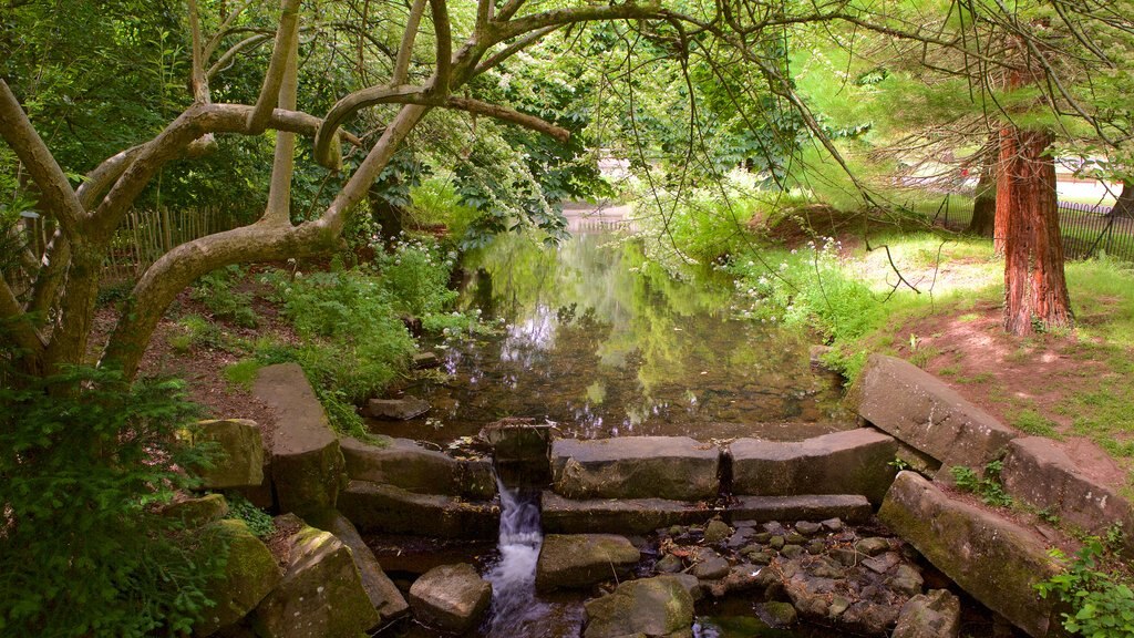 Roath Park showing a garden and a river or creek