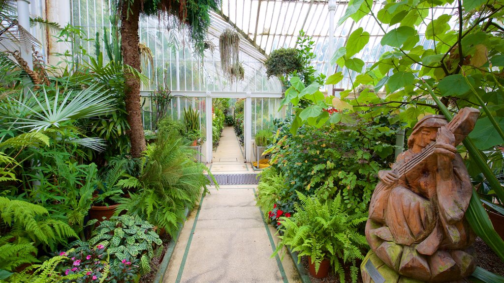 Belfast Botanic Gardens which includes interior views, a statue or sculpture and a garden