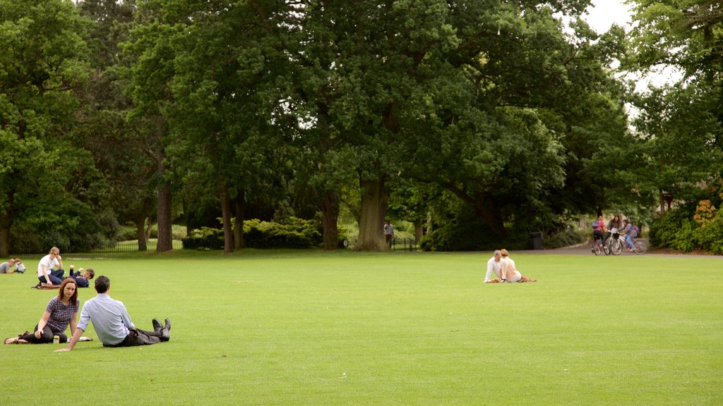 Belfast Botanic Gardens que inclui um parque assim como um casal