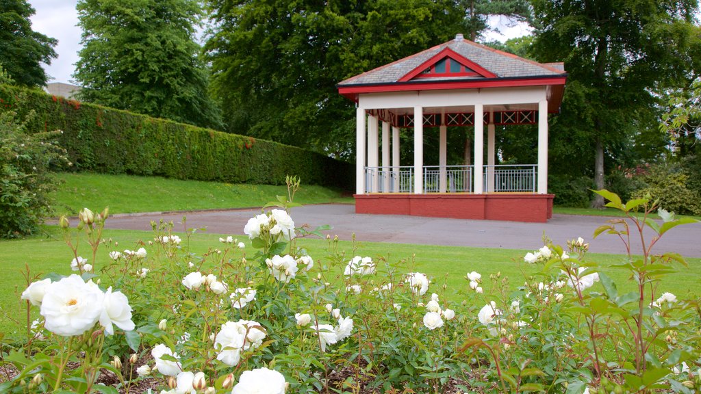 Belfast Botanic Gardens que incluye elementos patrimoniales, flores y un parque