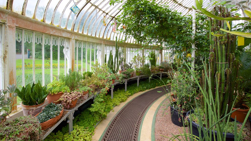 Belfast Botanic Gardens showing a garden, interior views and heritage elements