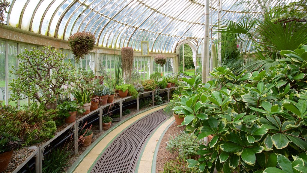 Belfast Botanic Gardens mostrando jardín, vista interna y elementos patrimoniales