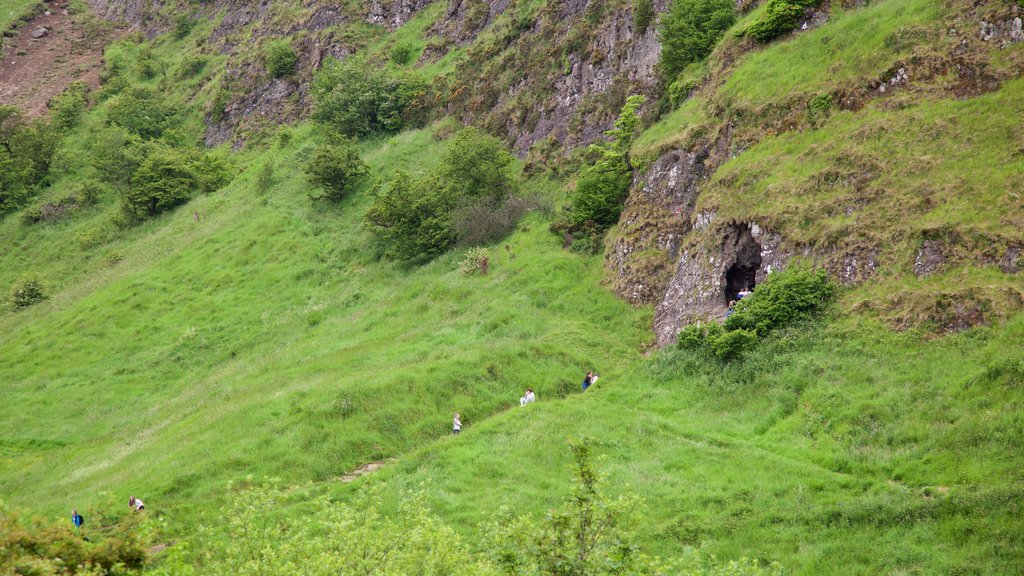 Cave Hill-park toont een park en ook een klein groepje mensen