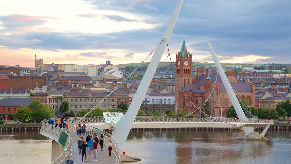 Peace Bridge showing a city, modern architecture and a bridge