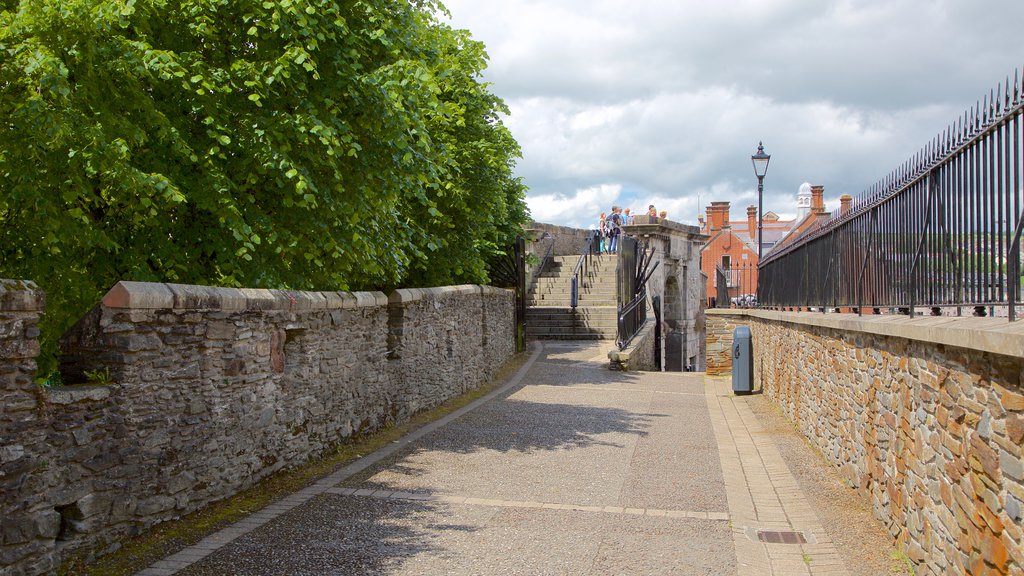 Derry City Walls ofreciendo elementos patrimoniales