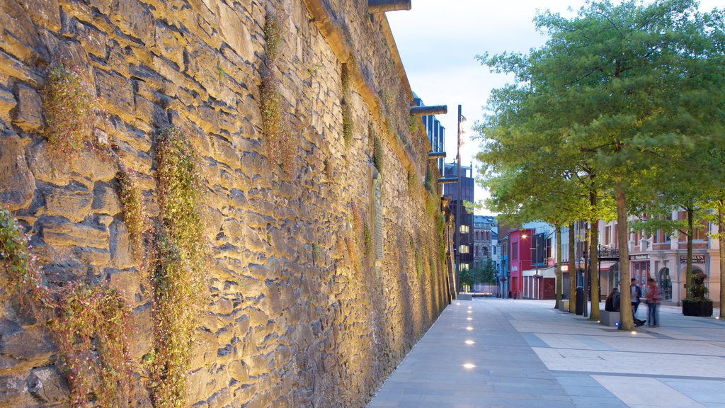 Derry City Walls featuring a city and street scenes