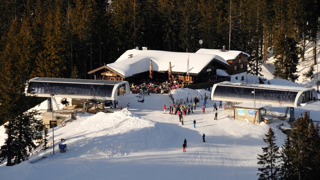 Spitzingsee showing après ski, a gondola and snow